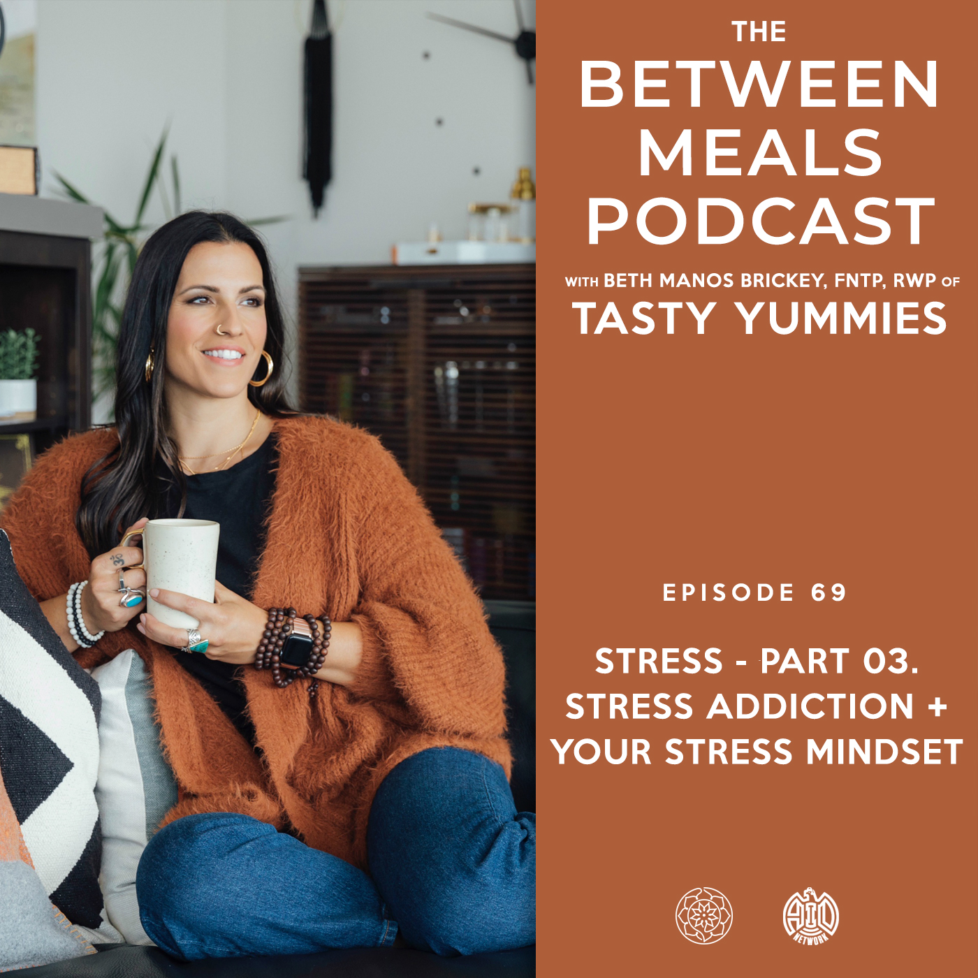 Between Meals Podcast. Episode 68: Stress Part 03: Stress Addiction and Your Stress Mindset