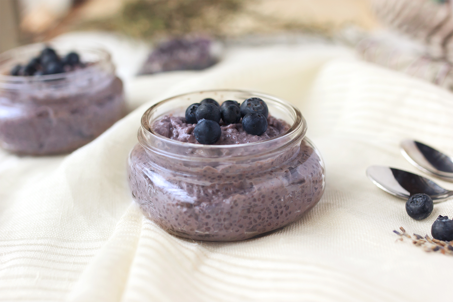 Easy Fiber Rich Blueberry Chia Seed Pudding - Calm Eats